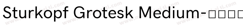 Sturkopf Grotesk Medium字体转换